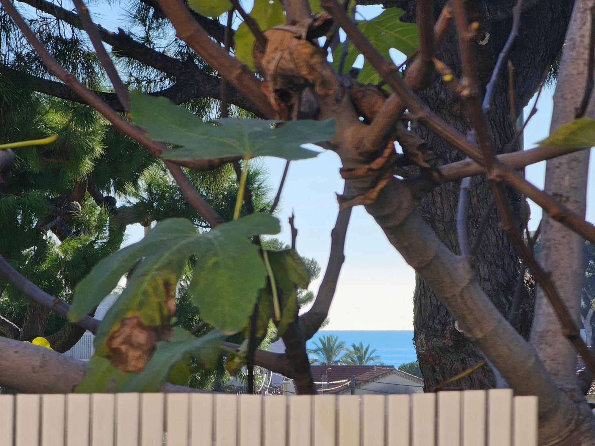 Detente Oceane S2 Proche De La Mer Wifi Clim Cagnes-sur-Mer Zewnętrze zdjęcie