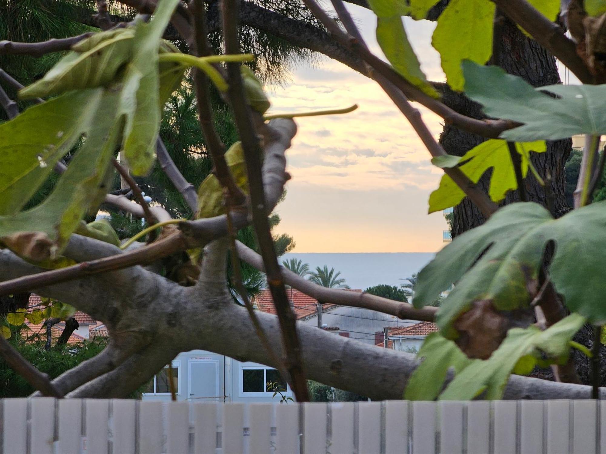 Detente Oceane S2 Proche De La Mer Wifi Clim Cagnes-sur-Mer Zewnętrze zdjęcie